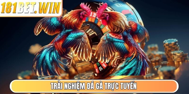 Trải nghiệm Đá Gà trực tuyến