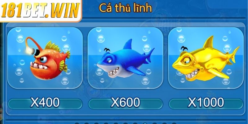 Mogul Room dành cho dân chuyên nghiệp